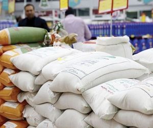 قیمت برنج آماده یک جهش قیمتی بلند دیگر

