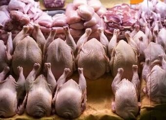 صدور مجوز صادرات گوشت مرغ / افزایش قیمت مرغ در راه است؟
