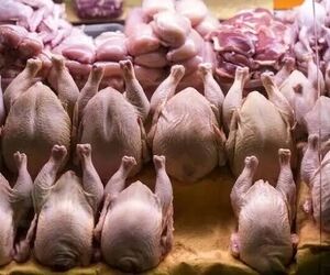صدور مجوز صادرات گوشت مرغ / افزایش قیمت مرغ در راه است؟
