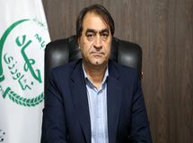 حذف عاملان توزیع نهاده‌های دامی راه حلی برای ثبات و آرامش بازار محصولات پروتئینی
