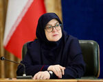 مهاجرانی: دولت بین کمبود کالا و گرانی، حذف ارز ترجیحی را انتخاب کرد
