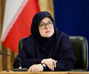 مهاجرانی: دولت بین کمبود کالا و گرانی، حذف ارز ترجیحی را انتخاب کرد
