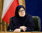 مهاجرانی: دولت بین کمبود کالا و گرانی، حذف ارز ترجیحی را انتخاب کرد

