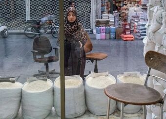 شوک بزرگ به بازار برنج / قیمت جدید برنج پاکستانی اعلام شد
