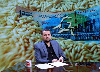 واردات و توزیع قطره چکانی برنج تاثیری در تنظیم بازار ندارد

