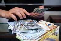 دولت به تک‌نرخی کردن ارز مکلف شد
