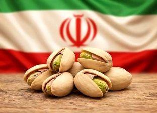 نبرد پسته در بازار جهانی/ آمریکا جایگزین ایران شد
