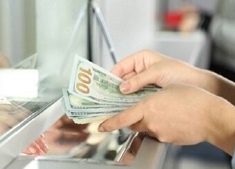 قیمت دلار رسمی ثابت ماند
