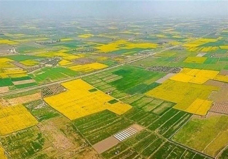 70 درصد اراضی کشاورزی سنددار شدند