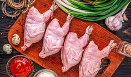 قیمت جدید گوشت و تخم بلدرچین / بلدرچین کامل کیلویی چند؟
