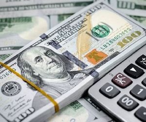 افزایش نرخ دلار کالاهای اساسی / تغییر سیاست ارزی بانک مرکزی اجرا شد
