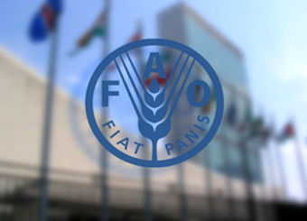 ایران به برنامه چارچوب جهانی کم‌آبی در بخش کشاورزی فائو پیوست
