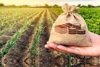 تعیین ۶۳۵ هزار تومان حق بیمه گندمزار از هر کیلوگرم گندم