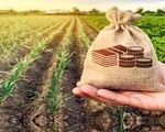 تعیین ۶۳۵ هزار تومان حق بیمه گندمزار از هر کیلوگرم گندم