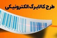 افزایش اقلام کالابرگ در شرایط جنگی؛ تلاش دولت برای بازگذاشتن دست مردم
