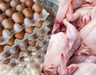 جزئیات کاهش قیمت مرغ، تخم مرغ و گوشت قرمز در بازار