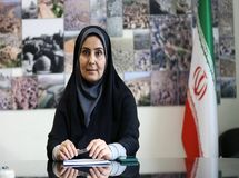 صادق: حمل‌ونقل ستون فقرات هشت سال دفاع مقدس بود
