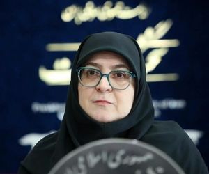 توضیحات مهم سخنگوی دولت درباره کارت سوخت+فیلم

