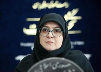 توضیحات مهم سخنگوی دولت درباره کارت سوخت+فیلم


