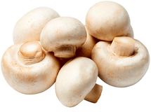 قیمت هر کیلو گرم قارچ فله‌ای مشخص شد/ گران‌تر نخرید
