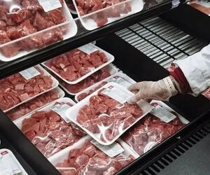 خبر امیدوارکننده از بازار گوشت / قیمت‌های پاییزی مشخص شد
