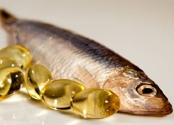 افزایش سرسام آور قیمت ماهی در بازار
