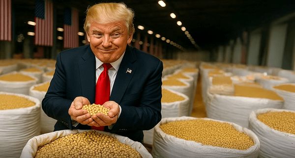 ترامپ در تله سویا گرفتار شد
