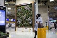شوک قیمتی در بازار پروازها / قیمت جدید بلیط هواپیما اعلام شد
