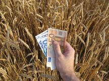 کدام نهاد مسئول تخصیص ارز نهاده‌ها است؟ / بانک مرکزی یا وزارت کشاورزی؟
