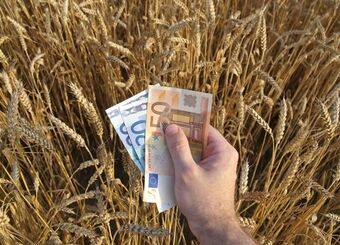 کدام نهاد مسئول تخصیص ارز نهاده‌ها است؟ / بانک مرکزی یا وزارت کشاورزی؟
