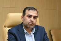 ملاک "نو بودن خودرو" ملاک درستی برای حذف سهمیه سوخت نیست

