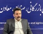 گازوئیل ۳۲ هزار تومانی؛ فشار مضاعف بر مرغداران