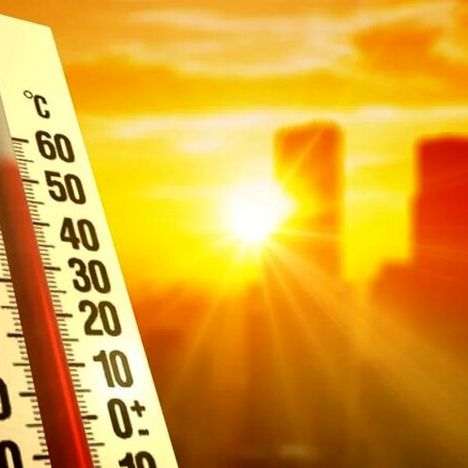 هشدار گرما در شمال و غرب؛ خطر آتش‌سوزی جنگل‌ها جدی است
