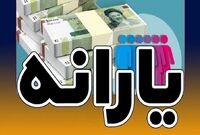 جزئیات طرح جدید دولت برای خرید اقساطی کالا+ جزییات
