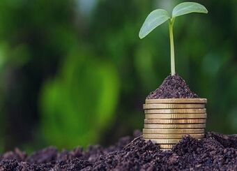 خبر خوش برای کشاورزان/ پرداخت غرامت خسارت‌دیدگان ادامه دارد
