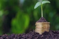 خبر خوش برای کشاورزان/ پرداخت غرامت خسارت‌دیدگان ادامه دارد
