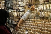 قیمت طلا و سکه امروز پنج شنبه 13 آذر 1404