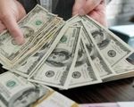 ریزش ناگهانی قیمت دلار، یورو، پوند و سایر ارزها امروز ۱۷ مهر ۱۴۰۴ / قیمت دلار بازار آزاد ۵ هزارتومان ارزان شد
