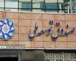 تسهیلات ریالی صندوق توسعه ملی تنها با مدل ریال مانایی پرداخت خواهد شد