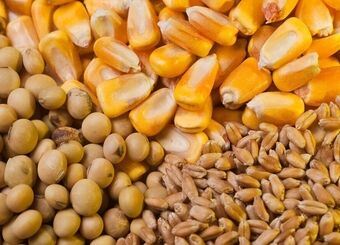 طلب واردکنندگان برای ترخیص نهاده‌ها پرداخت شود
