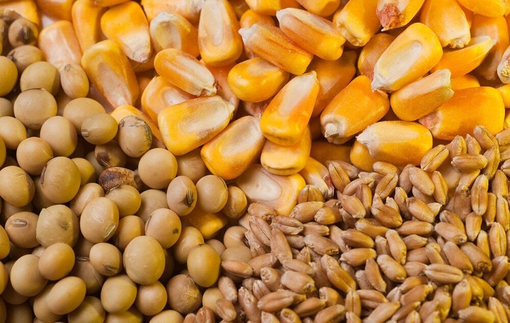 طلب واردکنندگان برای ترخیص نهاده‌ها پرداخت شود
